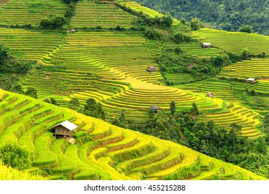 beautiful landscape view of rice terraces and house at Sapa in northern Vietnam