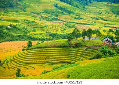 Rice Terraces Thailand Village Valley Among Stock Photo 629889587 ...