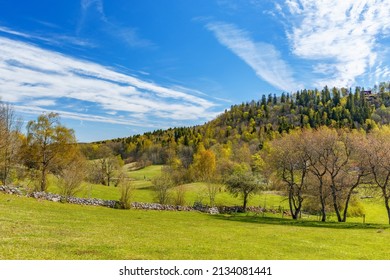 Beautiful Landscape View In Spring