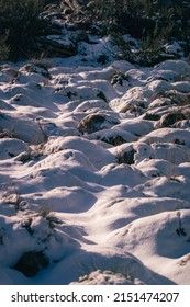 A Beautiful Landscape View Of White Ground Covered By Snow With Sunlight In Matroosberg, South Africa