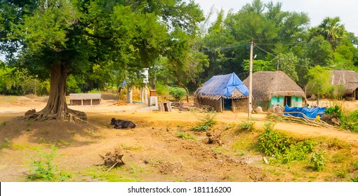 India Village Hd Stock Images Shutterstock