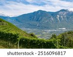 Beautiful landscape with vineyards,mountains,clouds in Trentino Alto Adige,South Tyrol,Wine Route (Strada Del Vino),Italy