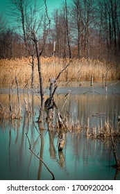 Beautiful Landscape In Walled Lake Michigan Trails