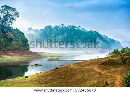 beautiful landscape with wild forest and river with fog in India. Periyar National Park, Kerala, India