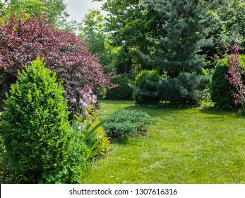 Beautiful Landscaped Garden Evergreens Example Using Stock Photo ...