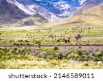 Beautiful landscapes on the road between Puno and Cosco , Peru. South America. 