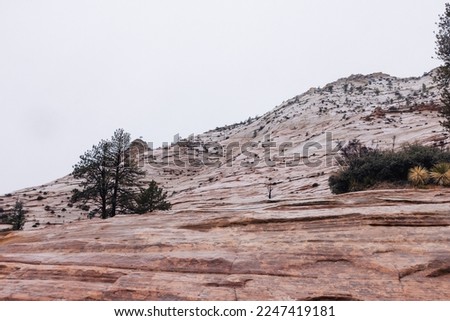 Beautiful landscapes of Zion Canyon Navajo red rocks in Utah in rainy weather. Conceptual landscape wallpapers of travel destination with earthy tones and rocky textures. 