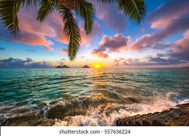 Beautiful Lanikai, Kailua Sunrise in Hawaii - Shutterstock ID 557636224