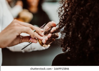 Beautiful Latin Woman With Short Curly Brown Hair Getting A Treat At The Hairdresser. Latin Hairdresser Working Her Afro Hair. Lifestyle.Close Up