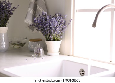 Beautiful Lavender Flowers On Countertop Near Sink In Kitchen