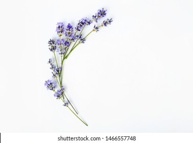 Beautiful lavender flowers on white background - Shutterstock ID 1466557748
