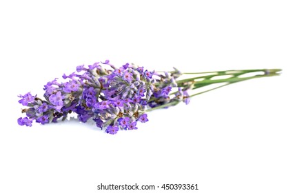 Beautiful Lavender On White Background