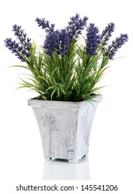 Beautiful Lavender In Wooden Pot Isolated On White