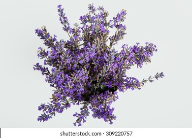 Beautiful Lavender In Wooden Pot Isolated On White