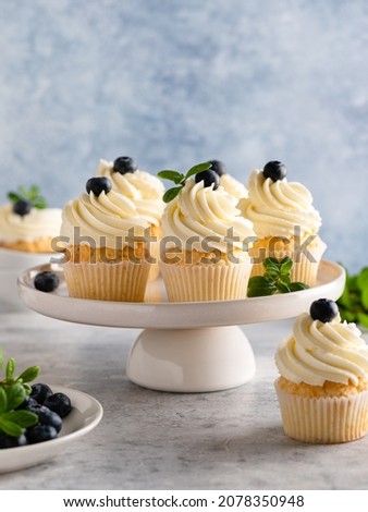 Beautiful lemon vanilla cupcakes with cream cheese frosting decorated with fresh blueberries and green leaves on white plate. Delicious homemade dessert. Blue background. Copy space. Close up food.