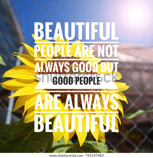 Beautiful Life Quotes On Sunflower Backlight Stockfoto