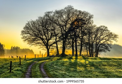 Beautiful Light Of Early Morning On Path At Dawn