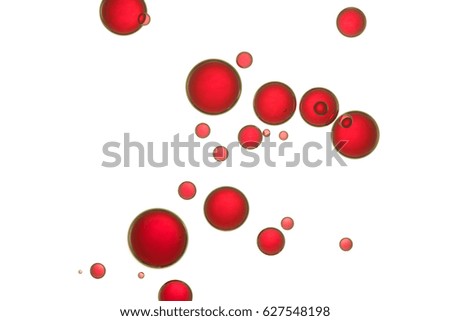 Beautiful light red round bubbles flowing over a white background. 
