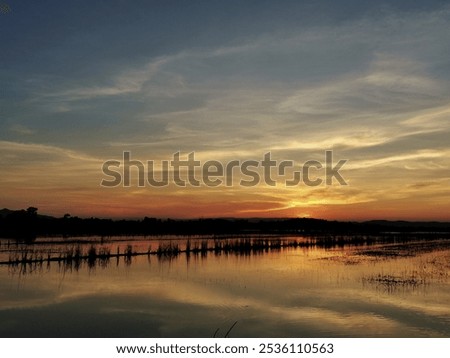 Beautiful light and silhoutte texture background. 