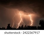 beautiful lightning during a thunderstorm at night in a forest that caused a fire, against a dark sky with rain