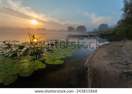 Similar – Image, Stock Photo seascape Reflection