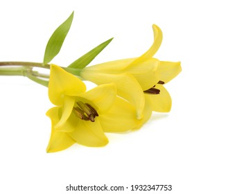 Yellow Object Images Stock Photos Vectors Shutterstock