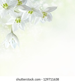 28,465 Lily border Images, Stock Photos & Vectors | Shutterstock