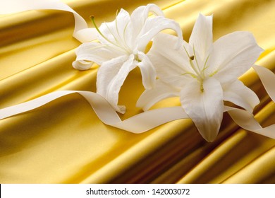 beautiful lily on golden silk