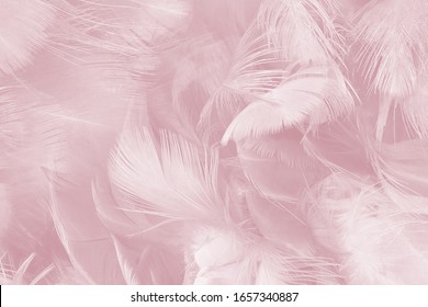 Mauve Background Images, Stock Photos & Vectors | Shutterstock