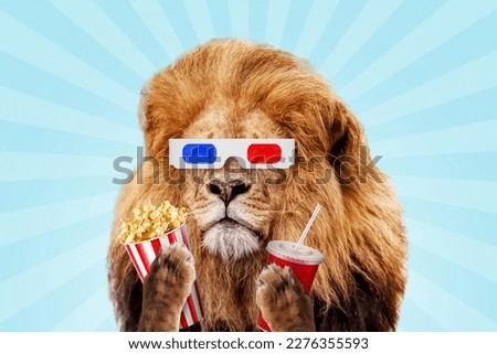Beautiful lion with paper 3D glasses holds a cola and popcorn and watches a movie on a blue vintage background. Movie premiere, creative idea. Resting and watching a movie