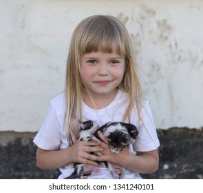 Blonde Kitten Images Stock Photos Vectors Shutterstock