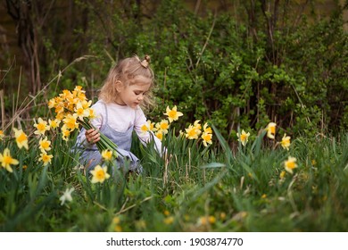 Beautiful little girl collects flowers in the garden. Daffodils in flowerbed spring time. Happy childhood out of town. Young botanist getting to know nature. Cute adorable baby on the lawn. narcissus
