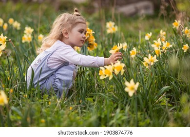 Beautiful little girl collects flowers in the garden. Daffodils in flowerbed spring time. Happy childhood out of town. Young botanist getting to know nature. Cute adorable baby on the lawn. narcissus