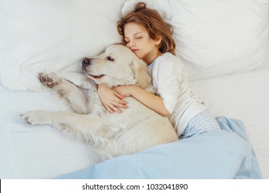 Beautiful Little Girl With Golden Retriever Dog In A Bed