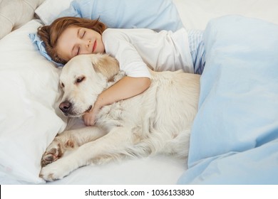 Beautiful little girl with golden retriever dog in a bed