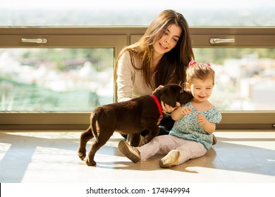 Beautiful Little Girl And Her Mom Getting Some Puppy Love And Kisses From Her New Brown Labrador