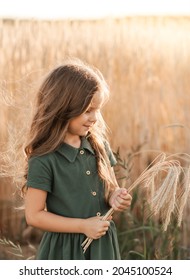 Beautiful Little Girl With Long Hair Walking Through A Wheat Field On A Sunny Day. Outdoors Portrait. Kids Relaxing