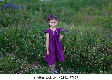 A beautiful little girl with long hair is smiling. A girl in a purple dress and a bouquet of clover in a blooming field