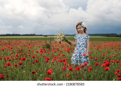 Beautiful Little Girl On The Background Of A Poppy Field, Bulgaria	