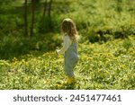 A beautiful little girl walks in a field of dandelions. Child