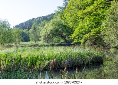 Beautiful Little Lake In The Natural Reserve Of Schönbuch