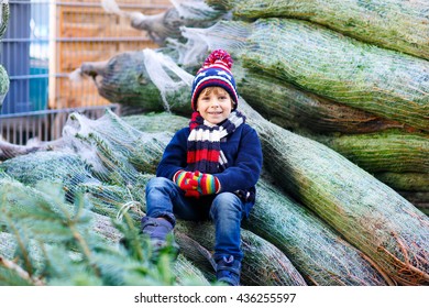 Beautiful little smiling kid boy shopping for christmas tree. Happy child in winter clothes, hat, gloves choosing xmas tree in outdoor shop. Family, tradition, celebration concept