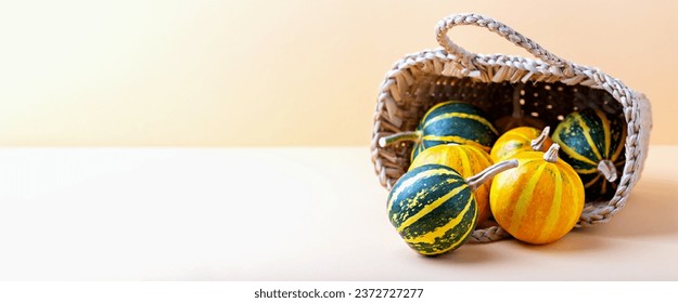 Beautiful little striped pumpkins spilling out of wicker basket close up on beige background with copy space. Halloween. Locally grown. Banner - Powered by Shutterstock