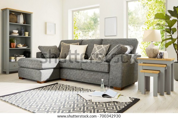 Beautiful Living Room Sofa Stock Photo (Edit Now) 700342930