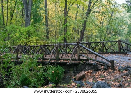 Beautiful Log Bridge Across Creek in Sleepy Hollow Cemetery 