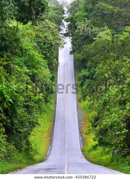 Beautiful long hill road in Khao Yai national\
park, Thailand