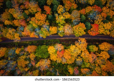 Beautiful look down photograph of a narrow paved road curving through the forest near the with gorgeous yellow, orange, red and green autumn foliage or leaves on the treetops below in Upper Michigan.