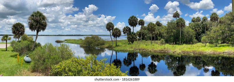 Beautiful Look At Myakka River 