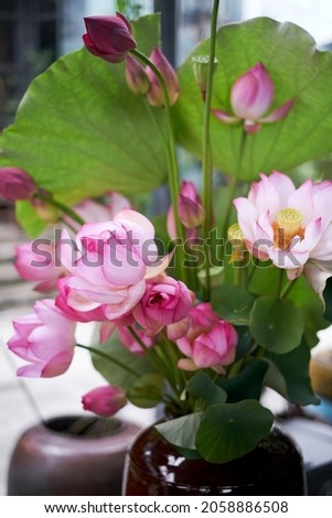 Beautiful lotus decoration flower arrangement, with freshly picked lotus