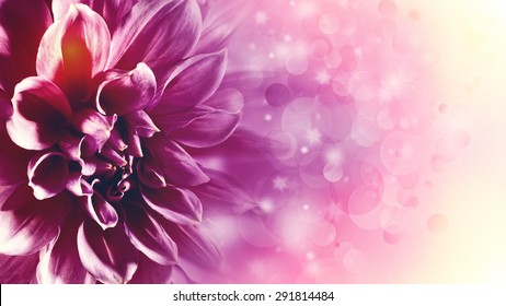 Beautiful Lotus Flower, Abstract Floral Backgrounds With Beauty Bokeh